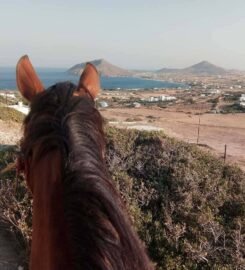 Paros Horse Riding Center – Thanasis Farm