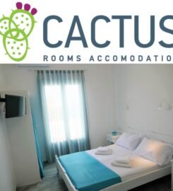 Cactus Beach Rooms