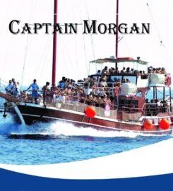 Captain Morgan cruises